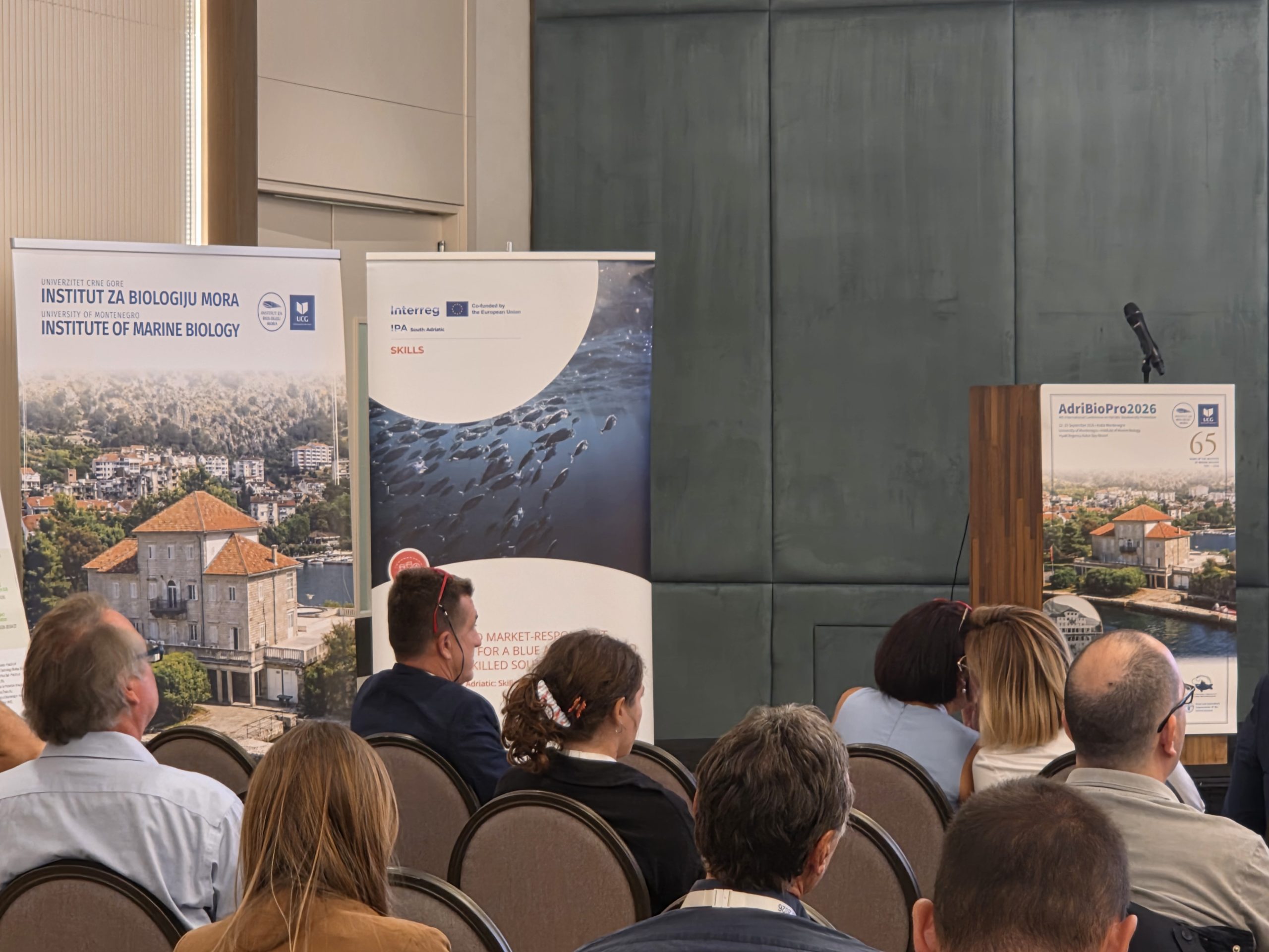 SKILLS: la comunità della Blue Economy riunita per il Laboratorio Interattivo all’AdriBioPro 2026 di Kotor
