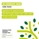 Il 29 gennaio a Evolio Expo 2026 il talk sulle opportunità regionali per il settore olivicolo