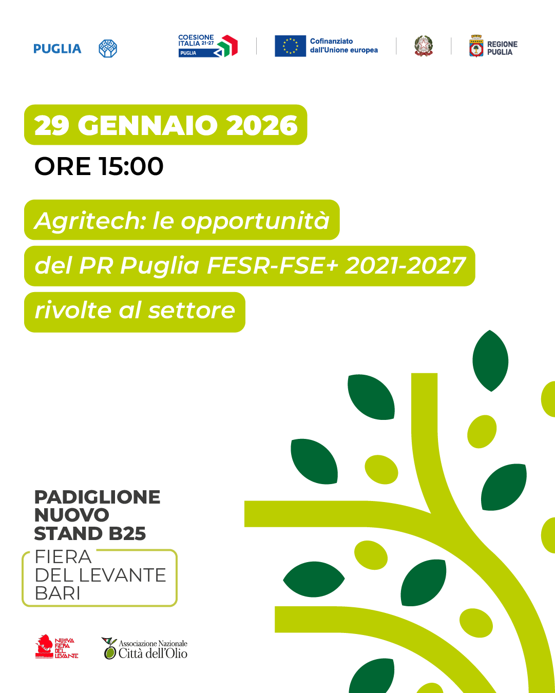 Il 29 gennaio a Evolio Expo 2026 il talk sulle opportunità regionali per il settore olivicolo